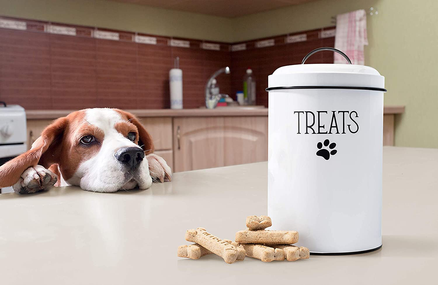 JRW DESIGN White Dog and Cat Treat Container plus 2 Bone-Shaped Cookie Cutters - Farmhouse Dog Treat Holder Jar - Durable Dog Biscuit Tin Canister, Great Gift for Pet Owners - Stylish Dog Treat Jar Animals & Pet Supplies > Pet Supplies > Bird Supplies > Bird Treats JRW Design   