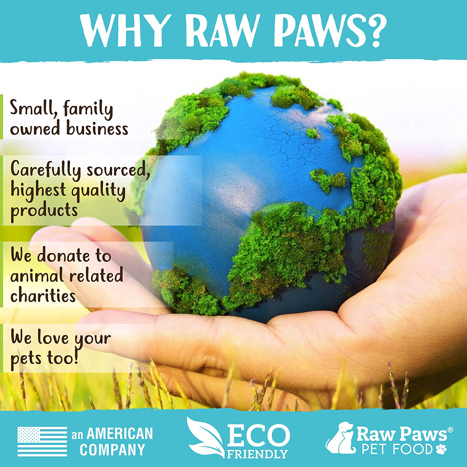 Raw Paws Compressed Catnip Ball Toy, 6 Pack - Catnip Toys for Indoor Cats - All Natural Catnip for Cats - Cat Toy Interactive Ball - Cat Kicker Toy Catnip Cat Toys - Cat Nip Kitty Toys - Cat Ball Toy Animals & Pet Supplies > Pet Supplies > Cat Supplies > Cat Toys Raw Paws   