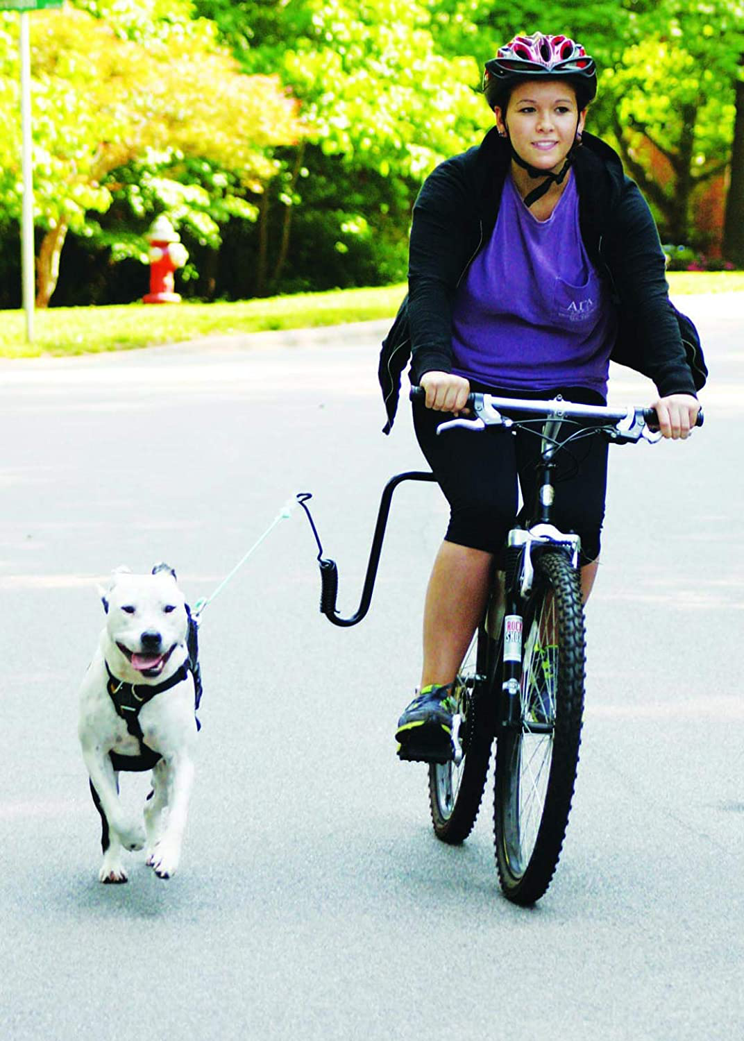 Dog lead bike 2024 attachment