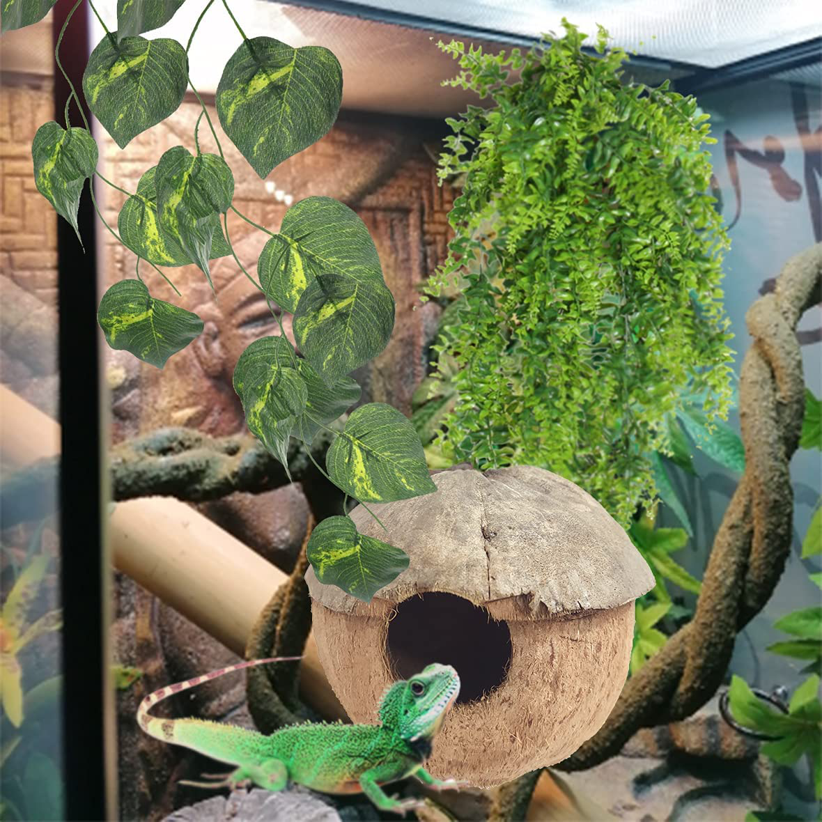 PINVNBY Reptile Coconut Hideout Lizard Coconut Hut Reptile Habitat Decoration with Artificial Bendable Vines Green Plants and Leaves Gecko Tank Accessories for Chameleon Bearded Dragons Snakes Animals & Pet Supplies > Pet Supplies > Reptile & Amphibian Supplies > Reptile & Amphibian Habitats PINVNBY   