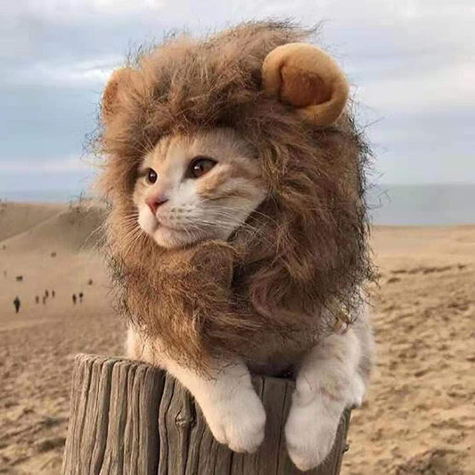 Cat Cap,Lion Mane for Cats,Dress Your Cat as a Lion.3 Different Sizes.(S)