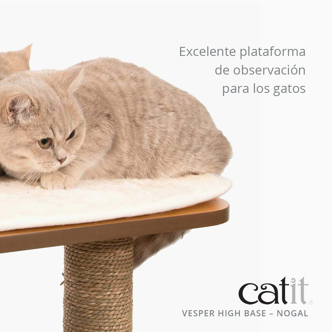 Vesper cat furniture sales base