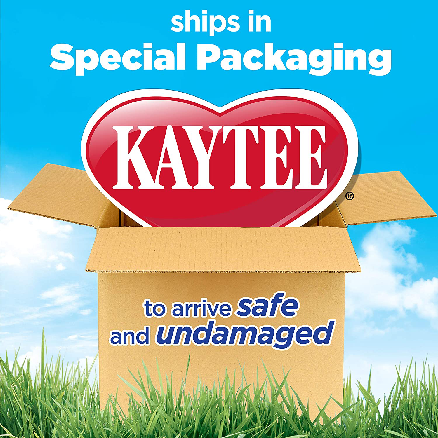 Kaytee Expansion Kit 1 Animals & Pet Supplies > Pet Supplies > Small Animal Supplies > Small Animal Habitat Accessories Kaytee   