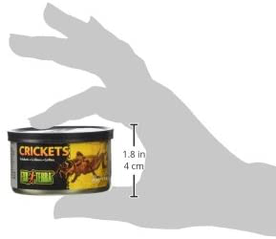 Exo Terra Specialty Reptile Food, Canned Crickets for Reptiles, PT1960 Animals & Pet Supplies > Pet Supplies > Reptile & Amphibian Supplies > Reptile & Amphibian Food Exo Terra   