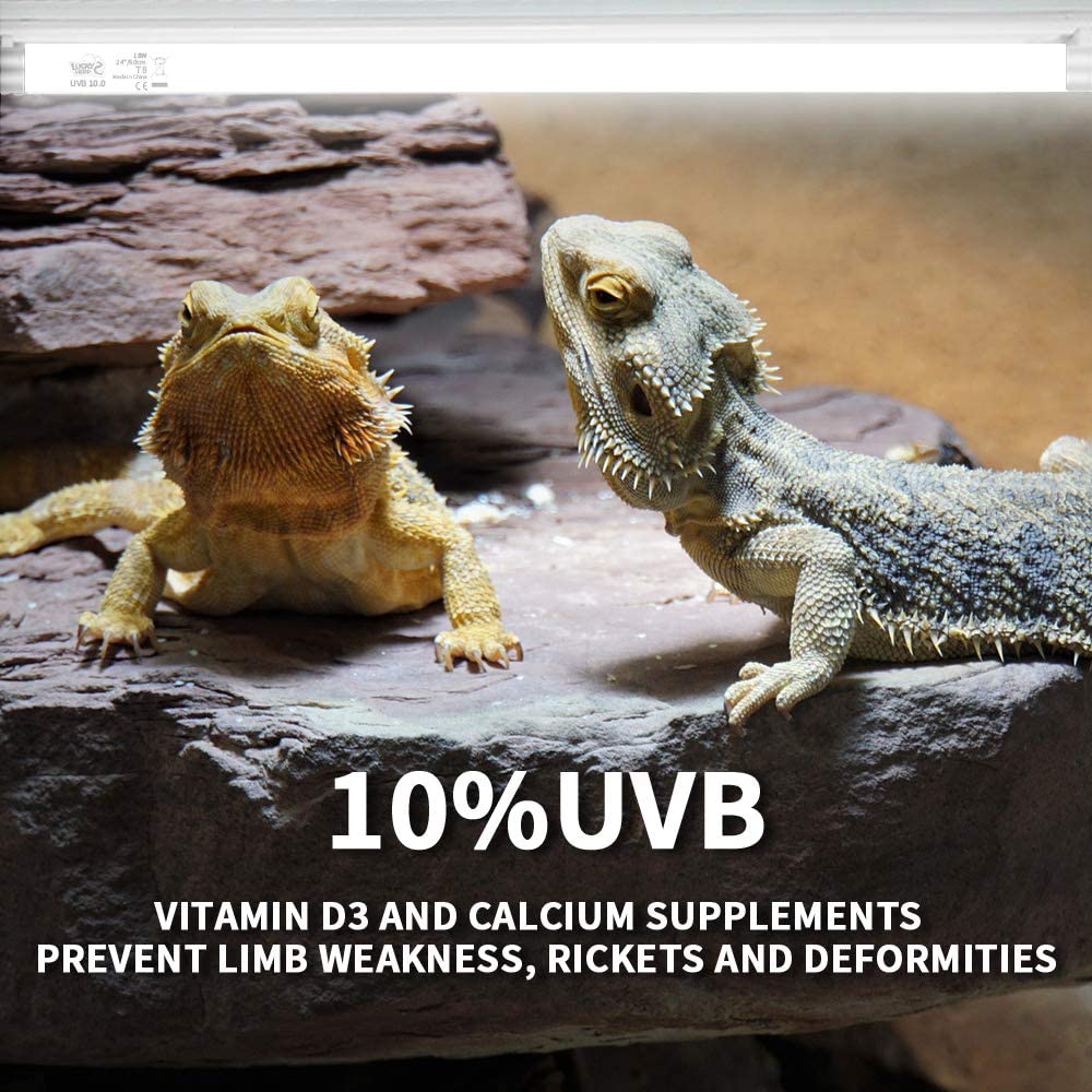 LUCKY HERP 15Inch 14W T8 UVB 10.0 Reptile Light, UVA UVB Bulb, Fluorescent Lamp for Reptiles Amphibian Animals & Pet Supplies > Pet Supplies > Reptile & Amphibian Supplies > Reptile & Amphibian Habitat Accessories LUCKY HERP   