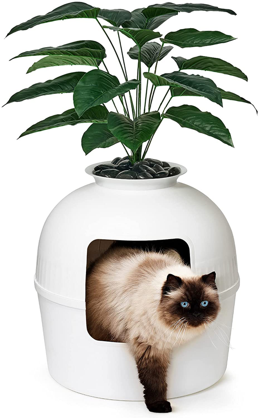 Secret Litter Box by Bundle & Bliss - Hidden Litter Box Enclosure with Odor Control Carbon Filter, Faux Plant and Real Stones, Perfect for Large Cats Animals & Pet Supplies > Pet Supplies > Cat Supplies > Cat Furniture Bundle & Bliss Vivid White  