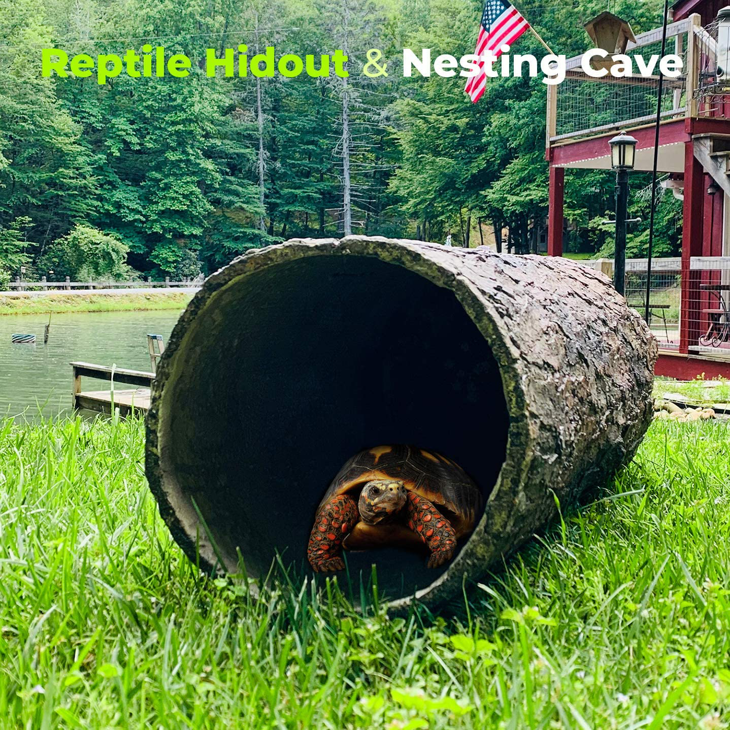 Hollow Hideaway 🌳 Large Tree Stump Reptile Hideout for Snakes, Lizards, Turtles and Critters.
