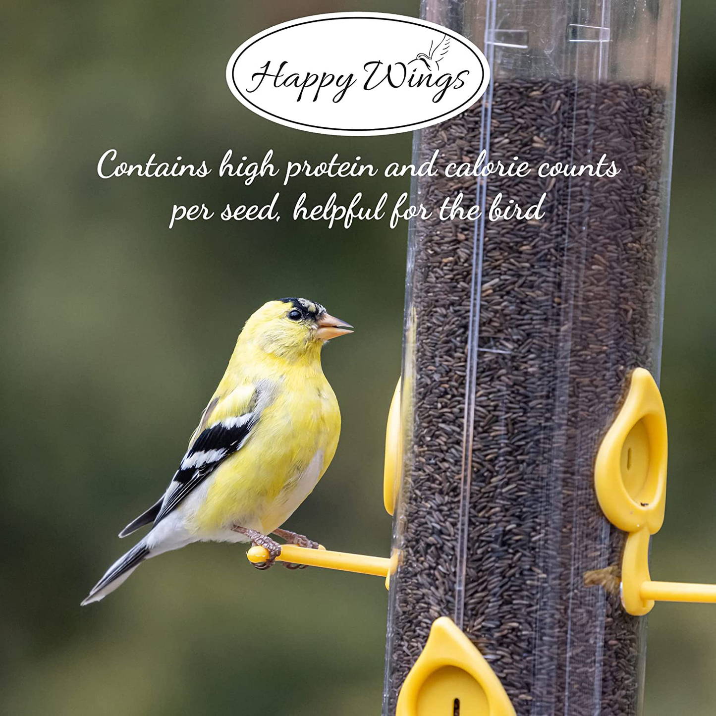 Happy Wings Nyjer/Thistle Seeds Wild Bird Food Animals & Pet Supplies > Pet Supplies > Bird Supplies > Bird Food Happy Wings   