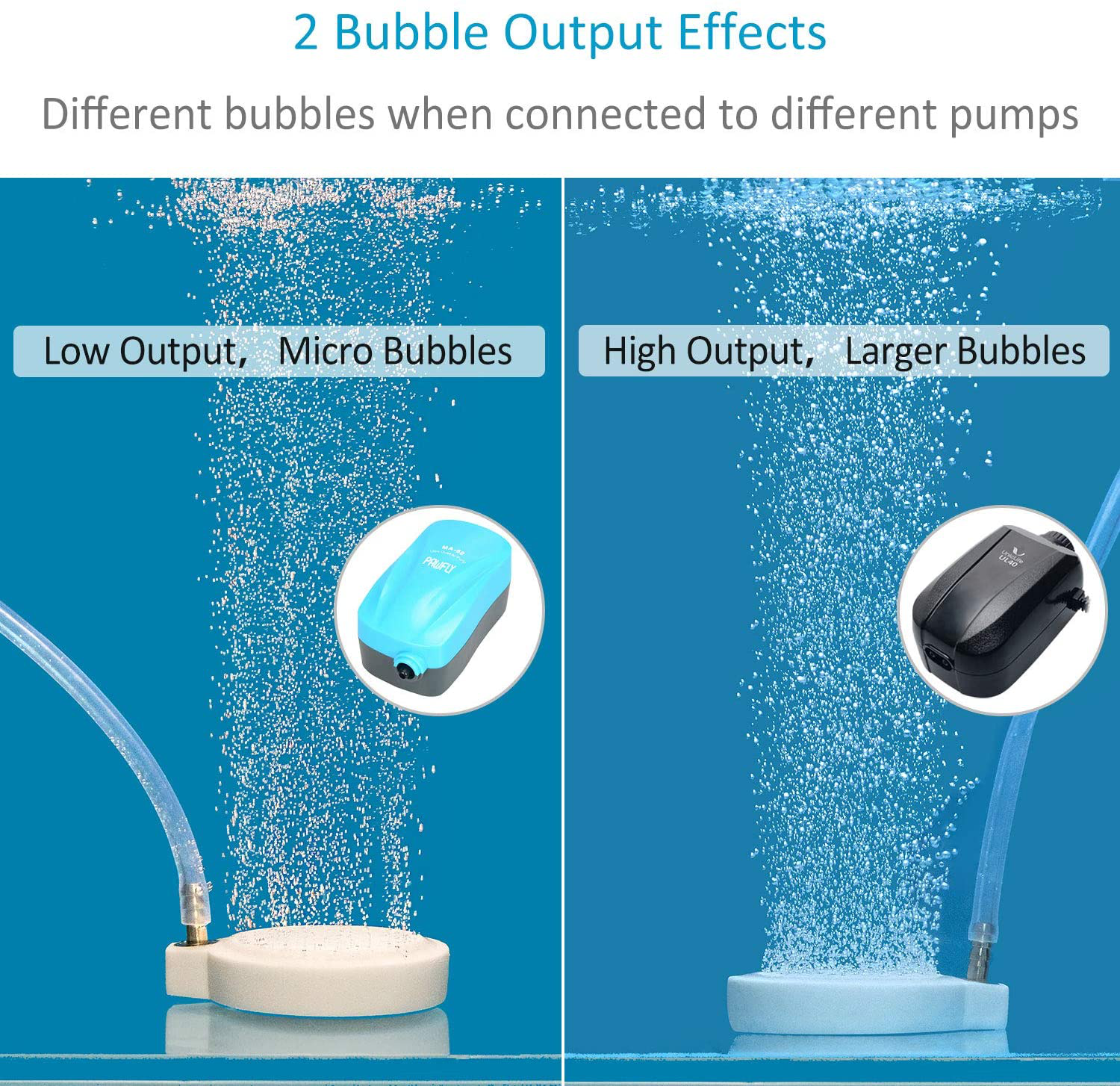 Pawfly 2 Inch Fine Bubble Air Diffuser Air Stone Disc for Small Air Pump Aquarium Fish Tank