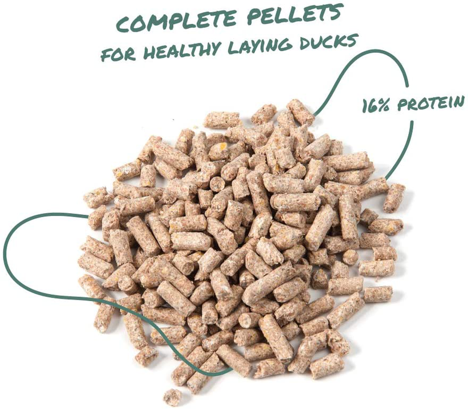 Manna Pro Duck Layer Pellet | High Protein for Increased Egg Production | Formulated with Probiotics to Support Healthy Digestion Animals & Pet Supplies > Pet Supplies > Reptile & Amphibian Supplies > Reptile & Amphibian Food Manna Pro   