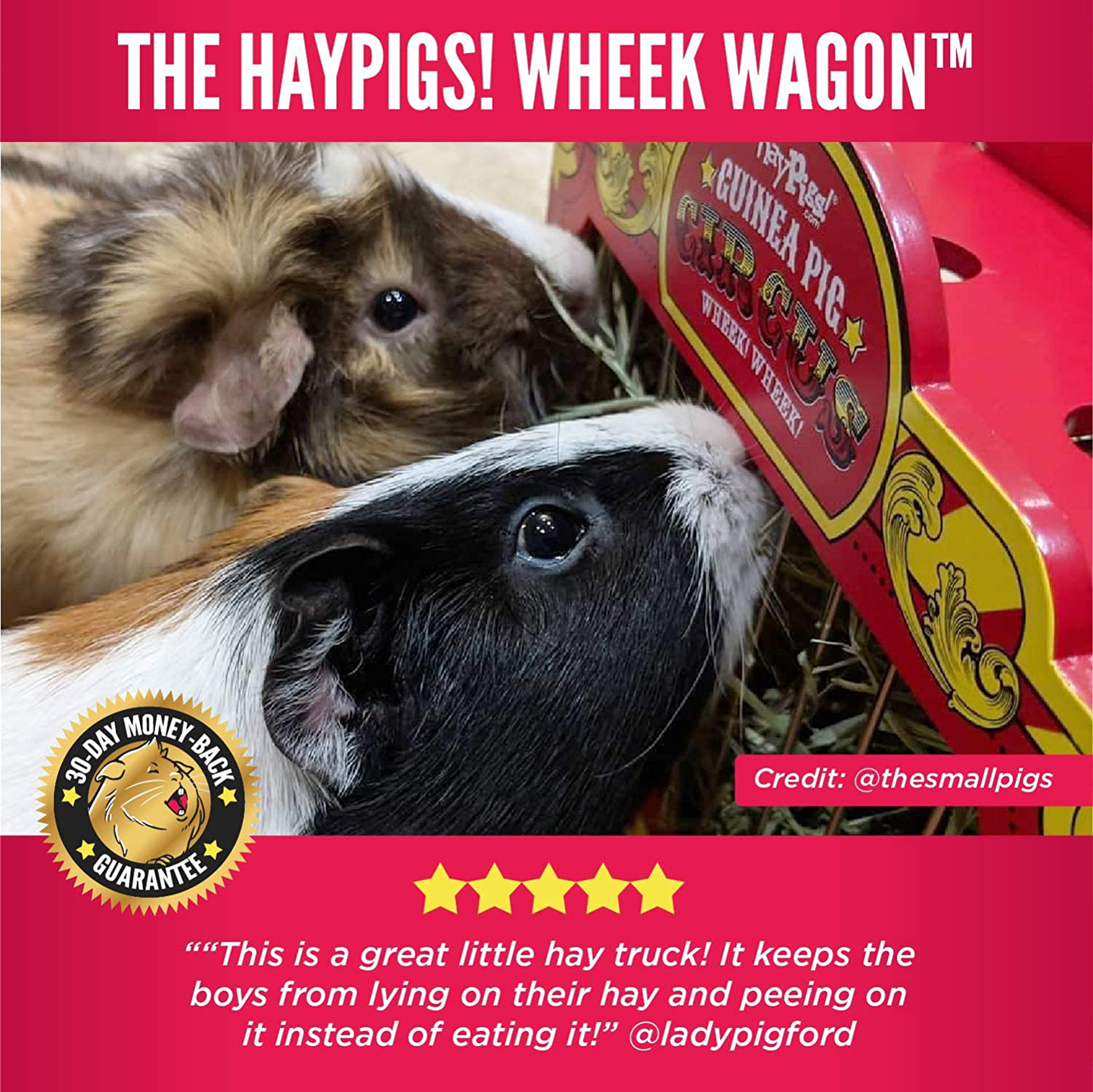 HAYPIGS Guinea Pig Toys and Accessories - Circus Themed Wheek Wagon Hay Hopper - Guinea Pig Hay Rack - Dwarf Rabbit Feeder - Hay Racks for Guinea Pigs - Hay Feeder - Chinchilla Hay Rack Animals & Pet Supplies > Pet Supplies > Small Animal Supplies > Small Animal Food HAYPIGS   