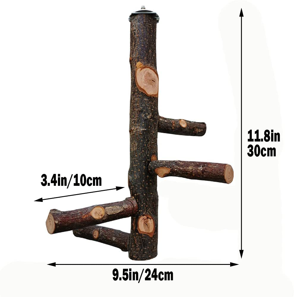 Qeeheng Bird Stand Perch,Natural Wood Parrot Perch Bird Cage,Bird Cage Perches for Parrots,Small Parakeets Cockatiels, Macaws, Parrots, Love Birds, Finches Animals & Pet Supplies > Pet Supplies > Bird Supplies > Bird Cages & Stands QeeHeng   