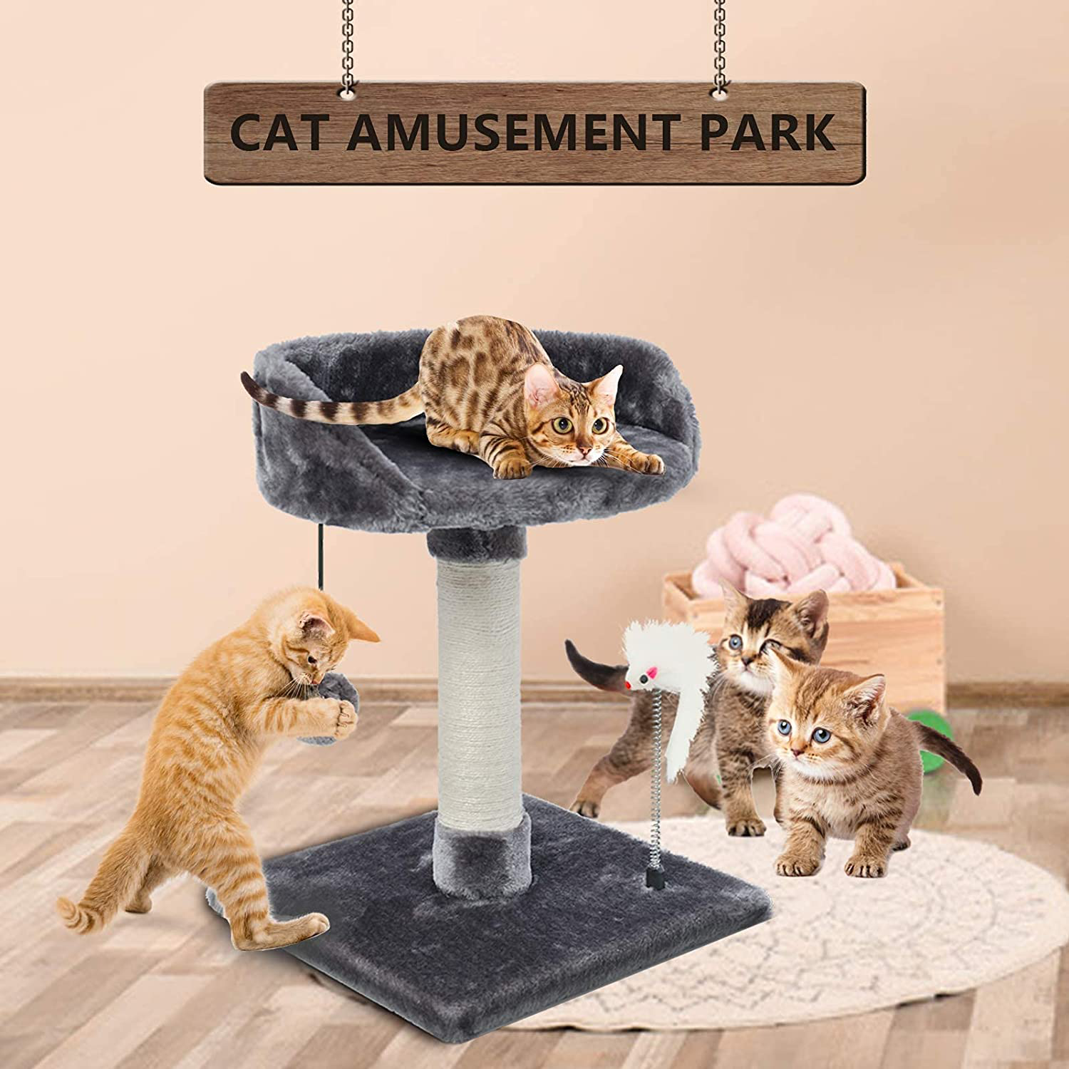 Cat Toy, Cat Play Mat Activity Pet Kitten Padded Bed Cat Play Center with  Hanging Toy Balls and Mice for Cats