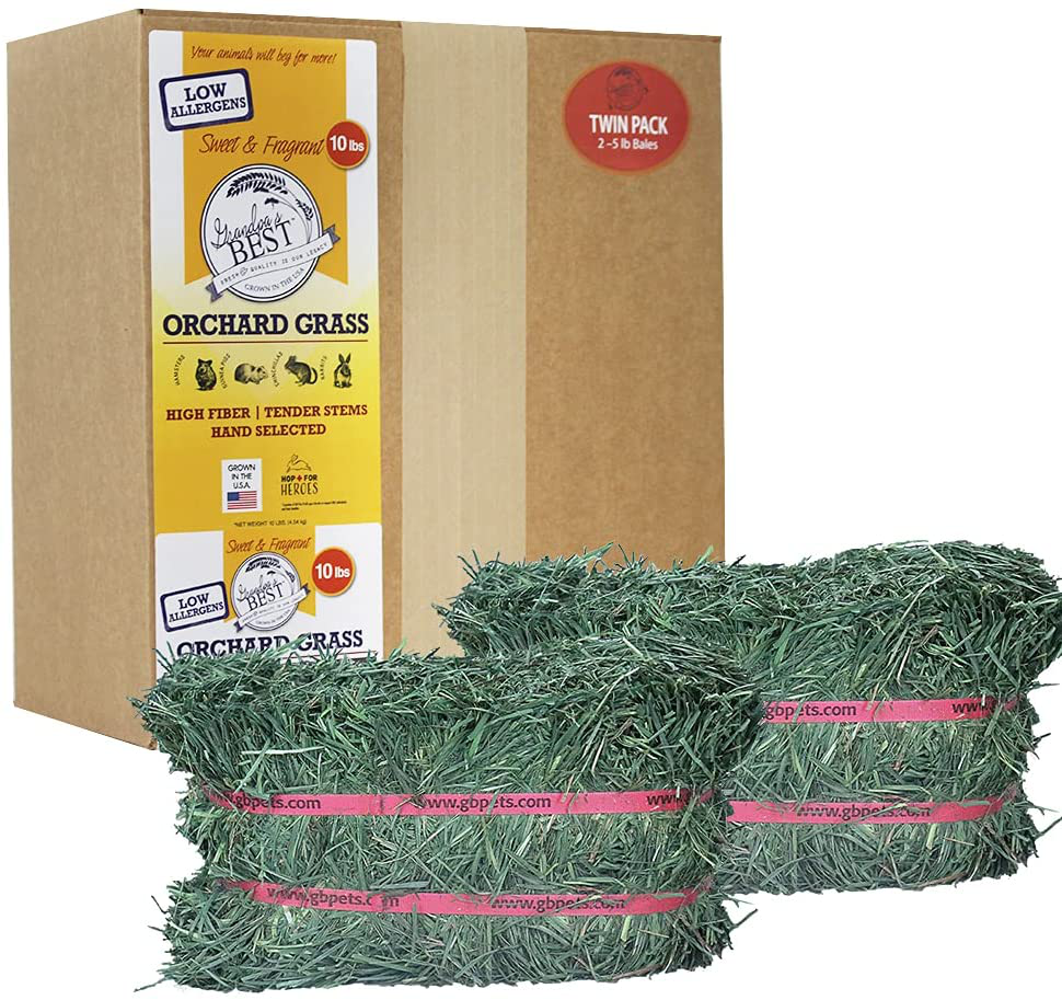 Grandpa'S Best Orchard Grass Bale Animals & Pet Supplies > Pet Supplies > Small Animal Supplies > Small Animal Food Grandpa's Best 10 lb  