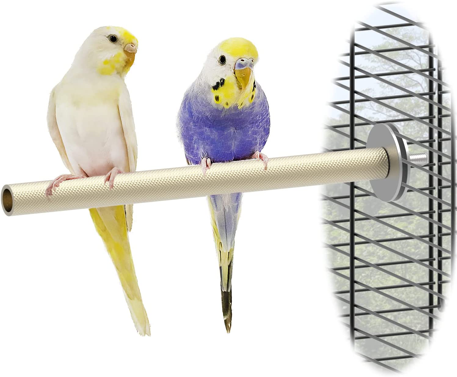 Ogioxam Bird Perch, Metal Perches for Parakeet, Bird Stand for Budgie Cockatiel Macaw and More