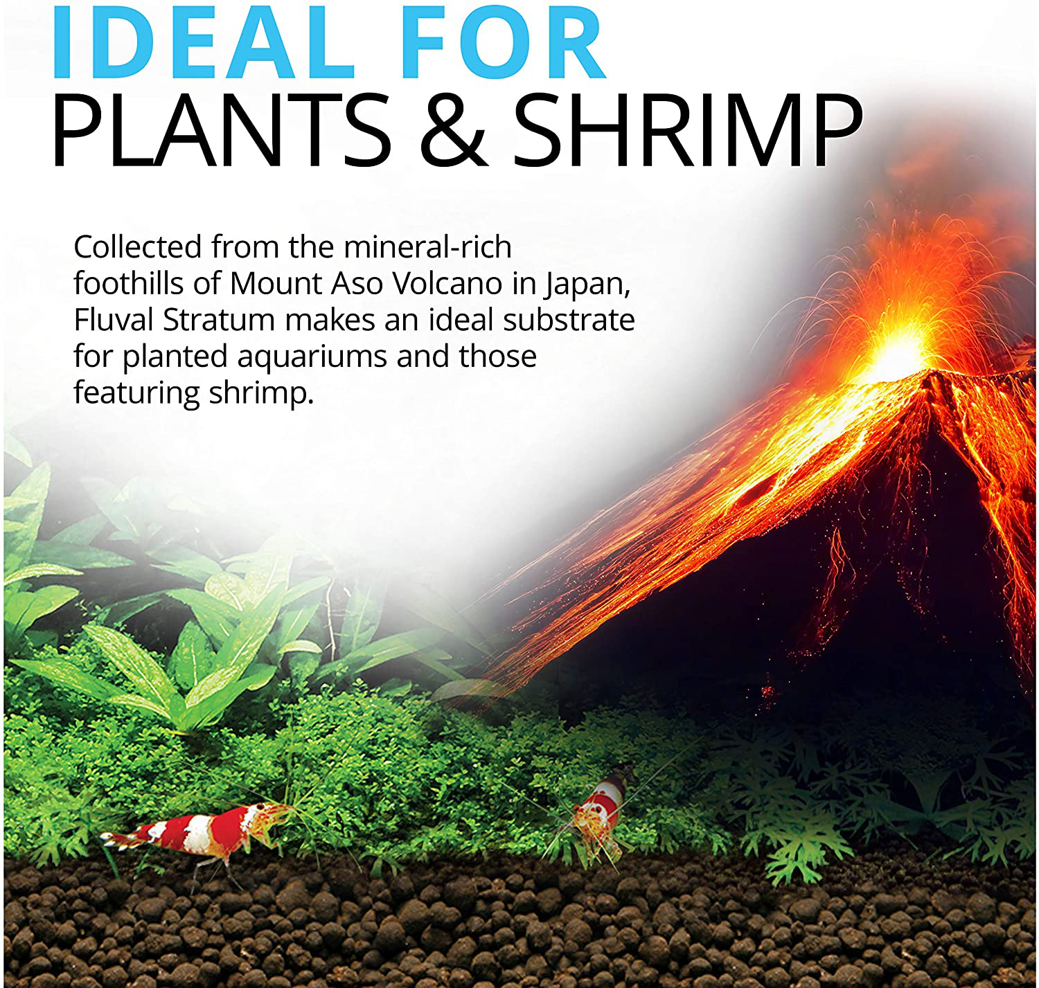 Fluval Plant and Shrimp Stratum, for Fish Tanks