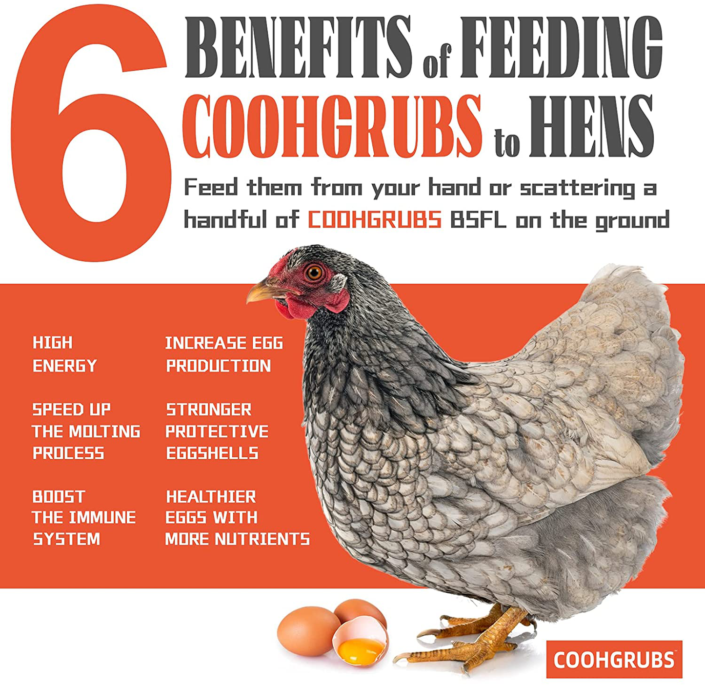 COOHGRUBS Natural Dried Black Soldier Fly Larvae, 60X-100X More Calcium than Dried Mealworms, Non-Gmo High-Protein BSF Larvae Treats for Chickens, Laying Hens, Ducks, Geese, Turkeys, Quails, and More Animals & Pet Supplies > Pet Supplies > Bird Supplies > Bird Treats coohgrubs   