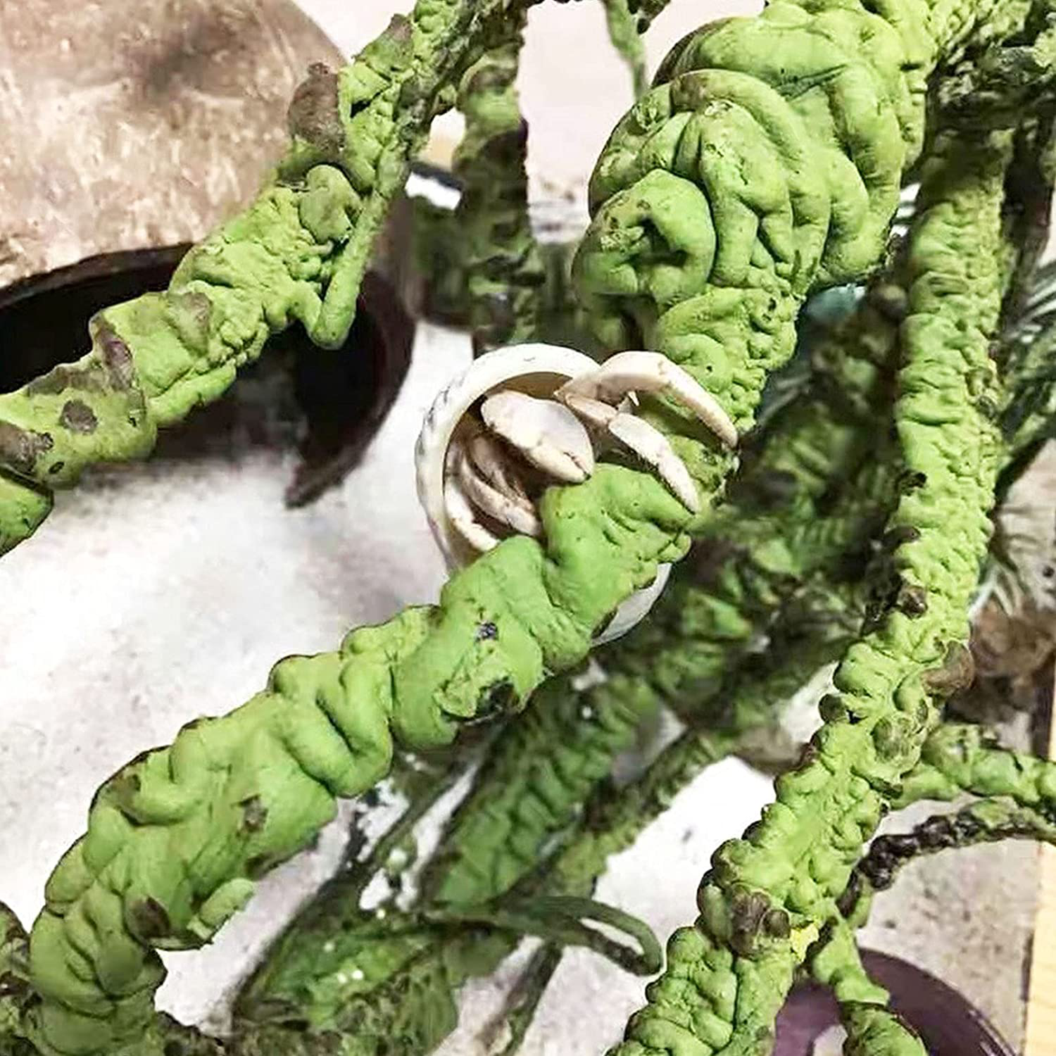 NUFR Reptile Vines Plants Habitat Decor Flexible Bendable Jungle Climbing Vine Hanging Plant Leaves Bearded Dragon Tank Decor Accessories Snake Hermit Crab Lizards Geckos Terrarium Decorations