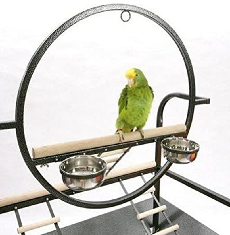 Mcage Large O Wrought Iron Parrot Bird Play Gym Ground Seed Skirts Stand White Vein
