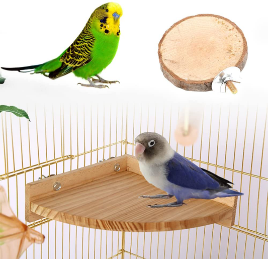 Bird Supplies  KOL PET Supplies – Page 295