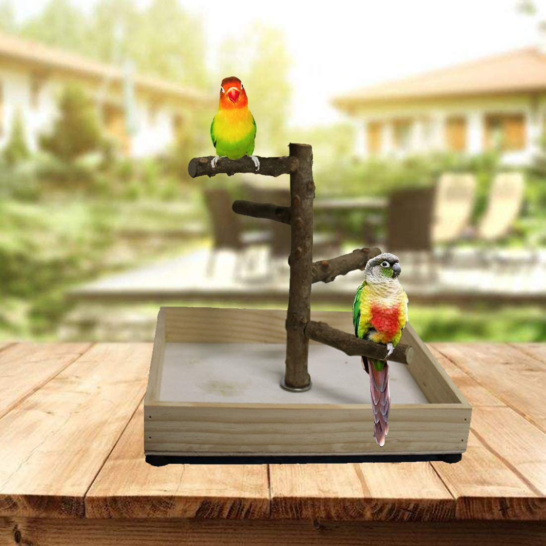 Hamiledyi Bird Perch Stand Tabletop,Parrot Playground Bird Gym Natural Wooden Perch Playstand Platform for Parrots Parakeets Canaries Cockatiels Conure Lovebirds Animals & Pet Supplies > Pet Supplies > Bird Supplies > Bird Gyms & Playstands Hamiledyi   