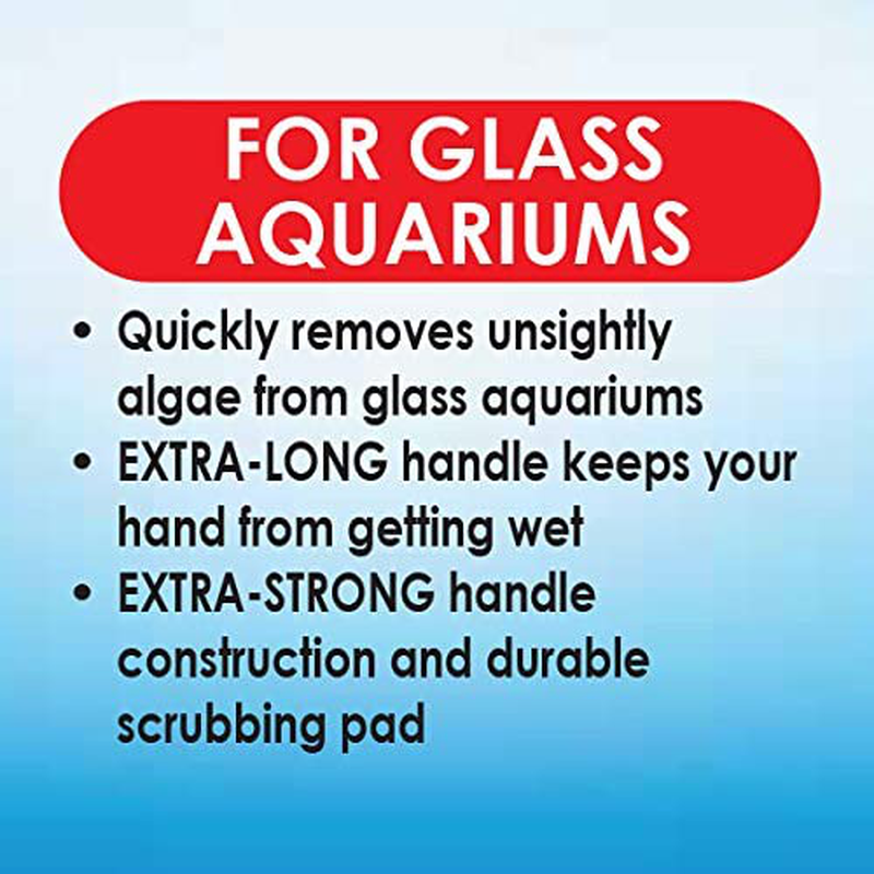 API ALGAE SCRAPER for Glass Aquariums 1-Count Container Animals & Pet Supplies > Pet Supplies > Fish Supplies > Aquarium Cleaning Supplies API   