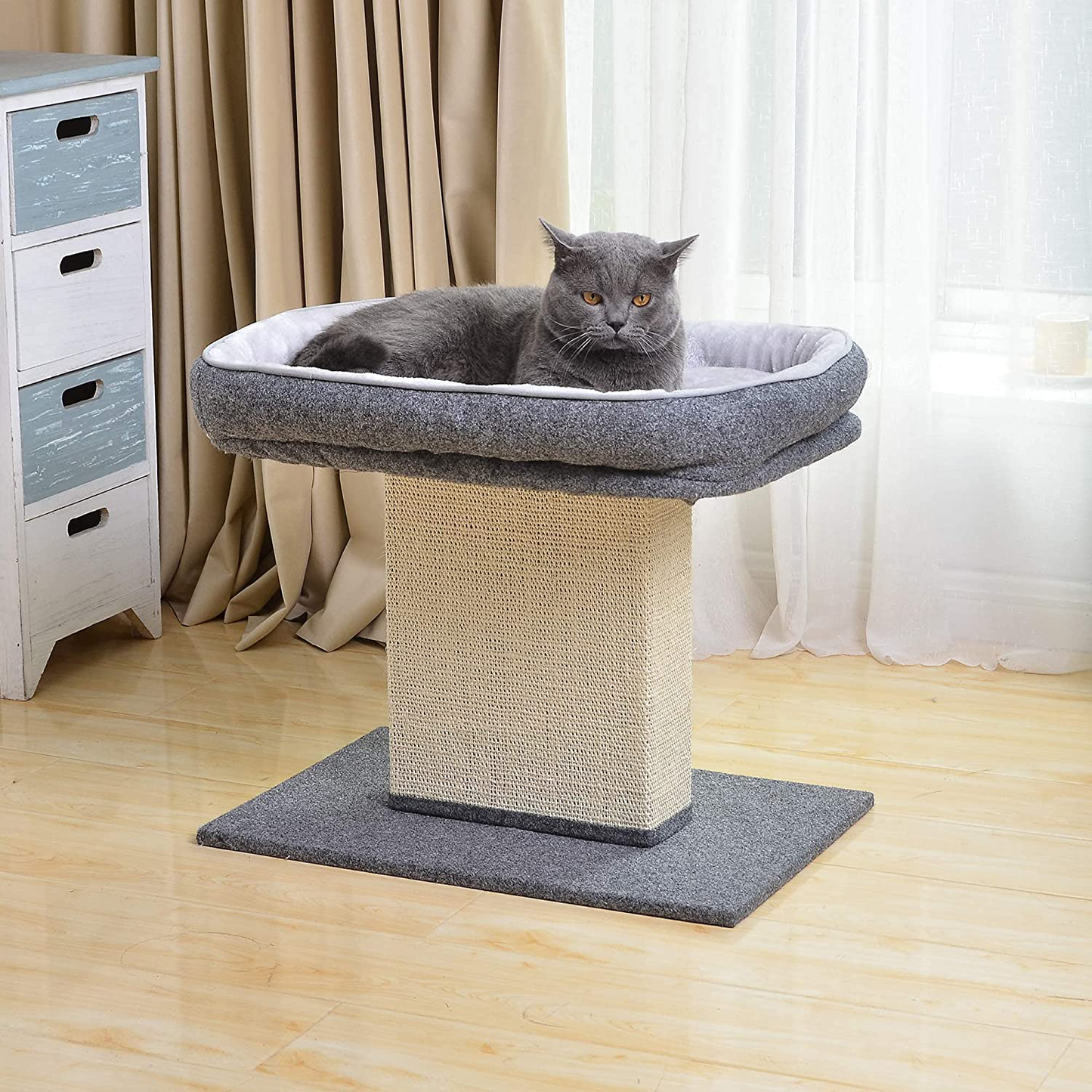 Catry Cat Bed with Scratching Post - Minimalist Style Design of Cat Tree with Cozy Cat Bed and Teasing Scratching Post, Allure Kitten to Stay around This Sturdy and Easy to Assemble Cat Furniture Animals & Pet Supplies > Pet Supplies > Cat Supplies > Cat Furniture Catry   