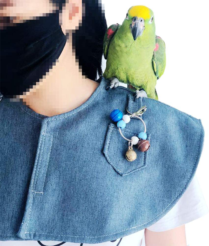 Parrot Anti-Scratch Shoulder Protector Hang Bird Anklet&Toys, Multi-Functional Pet Shoulder Pad Diaper Shawl for Small Medium Parakeets Cockatiels, Sun Conures, Macaws Love Birds, Finches Lovebird Animals & Pet Supplies > Pet Supplies > Bird Supplies > Bird Toys QBLEEV   