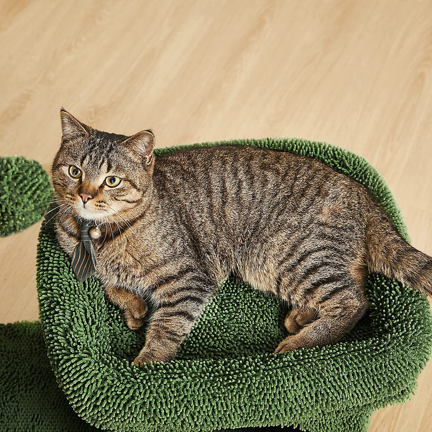 Catinsider 2 in 1 Cat Scratching Post Kitty Condo with Dangling Ball for Small Cats Green Animals & Pet Supplies > Pet Supplies > Cat Supplies > Cat Furniture Catinsider   