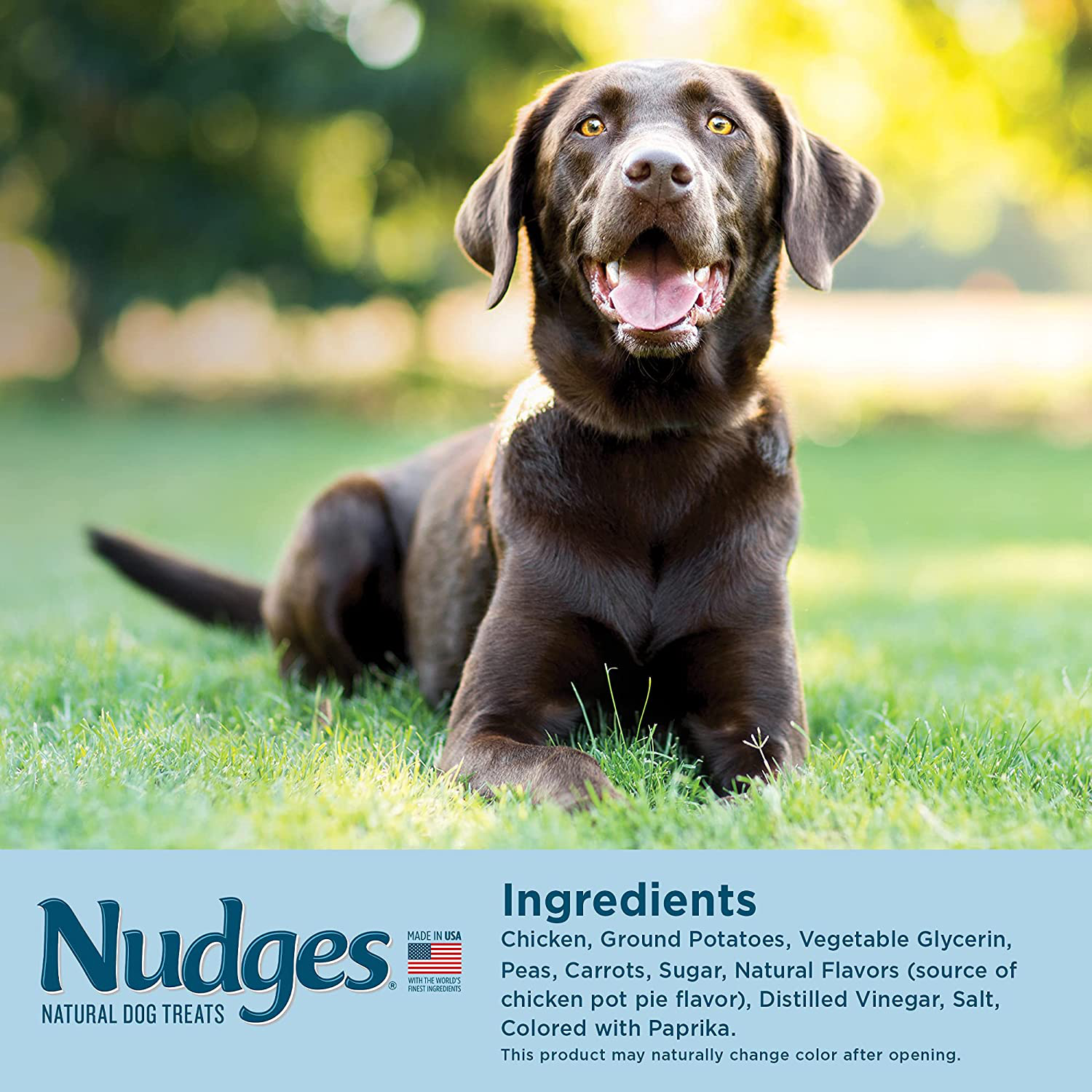 Nudges Natural Dog Treats Homestyle Made with Real Chicken, Peas, and Carrots Animals & Pet Supplies > Pet Supplies > Dog Supplies > Dog Treats Nudges   