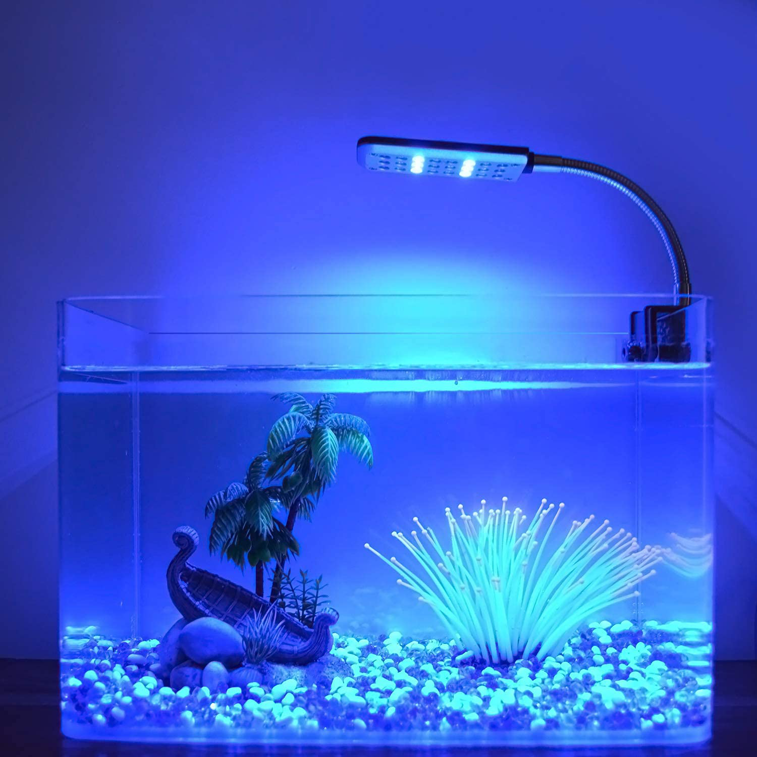 Aquarium Light Clip on Fish Tank Lighting Small Fish Light for Tanks without Border, White and Blue Leds