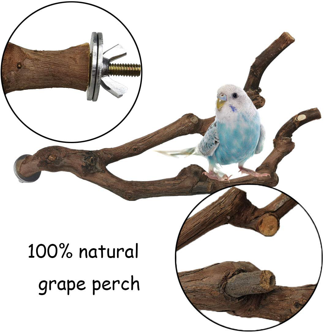 Wooden Bird Perch Grape Wood Stick with Vegetable Clips for Parrot