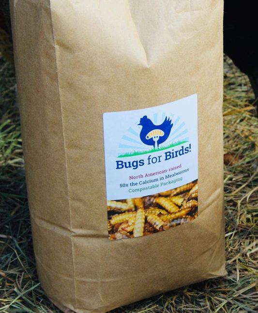 NORTH AMERICAN-RAISED Bugs for Birds! Better than Mealworms - Dried BSF Larvae - Natural Chicken Feed Supplement / Wild Bird Treats - for Healthy Eggs and Feathers! Animals & Pet Supplies > Pet Supplies > Bird Supplies > Bird Treats Bugs for Birds! 4 Pound (Pack of 1)  