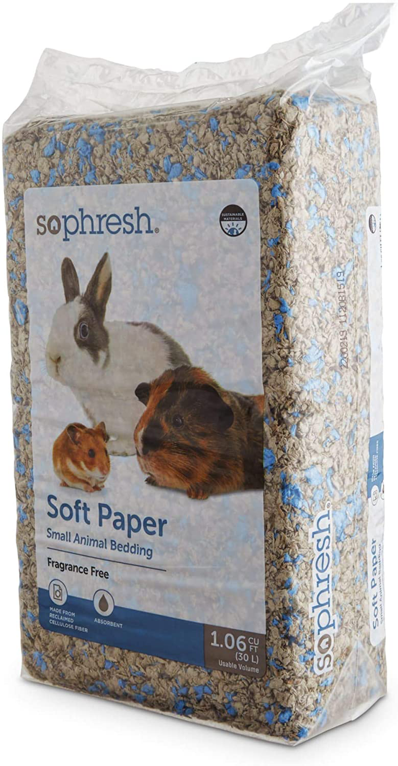 Petco Brand - so Phresh Pop of Blue Natural Soft Paper Small Animal Bedding