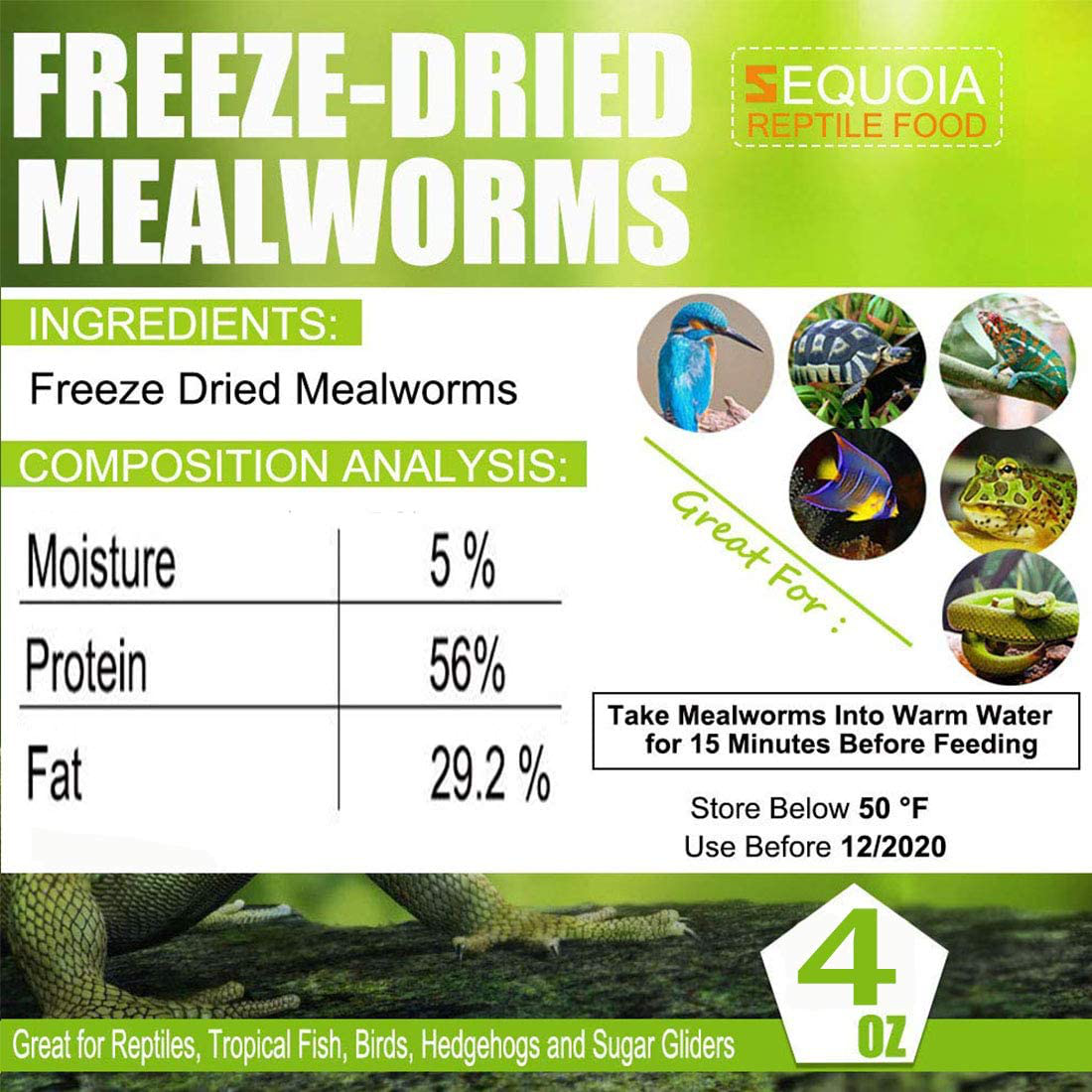 Reptile Food Freeze Dried Mealworms Pet Worms Food for Bearded Dragon, Lizard, Turtles, Chameleon, Monitor, Frog, Birds, Fish, Hamsters and Hedgehogs Animals & Pet Supplies > Pet Supplies > Reptile & Amphibian Supplies > Reptile & Amphibian Food Sequoia   