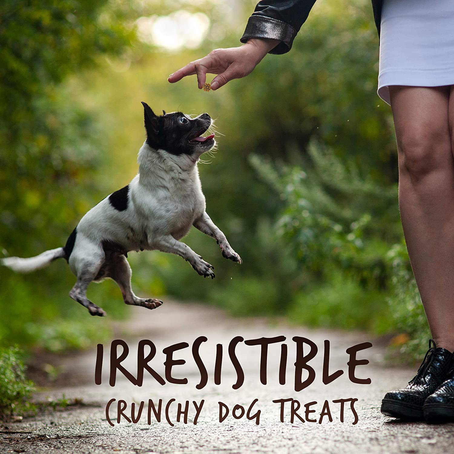 Fruitables Skinny Mini Dog Treats | Healthy Treats for Dogs | Low Calorie Training Treats | Free of Wheat, Corn and Soy