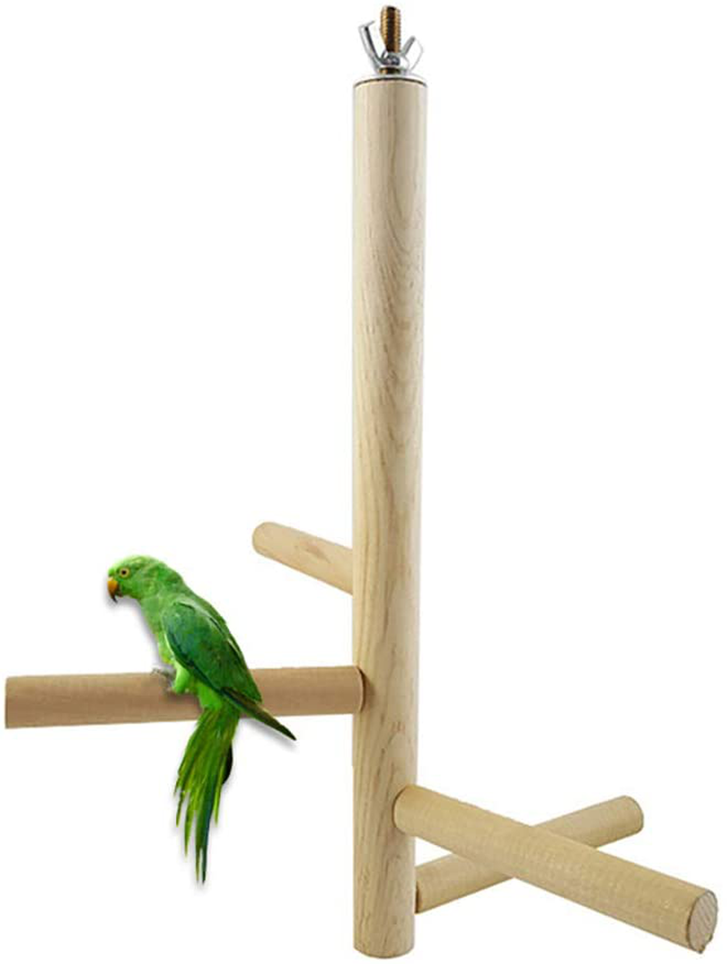 Newooh Bird Cage Stand Parrot Perch Training Stands Playstand Playgound Play Gym for Concures Parakeets Lovebirds Cockatiels Animals & Pet Supplies > Pet Supplies > Bird Supplies > Bird Gyms & Playstands Newooh   