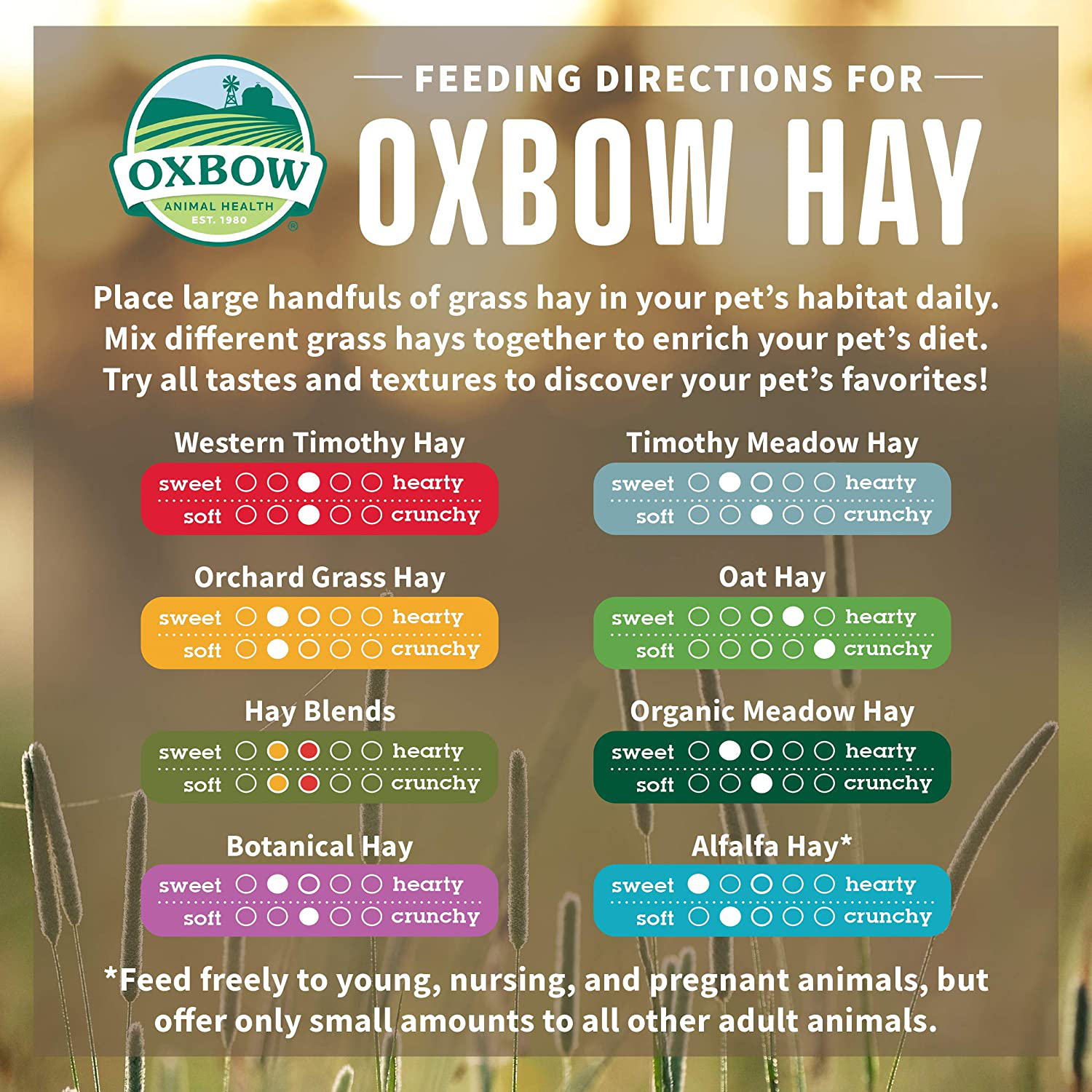 Oxbow Animal Health Orchard Grass Hay - All Natural Grass Hay for Chinchillas, Rabbits, Guinea Pigs, Hamsters & Gerbils Bulk Size