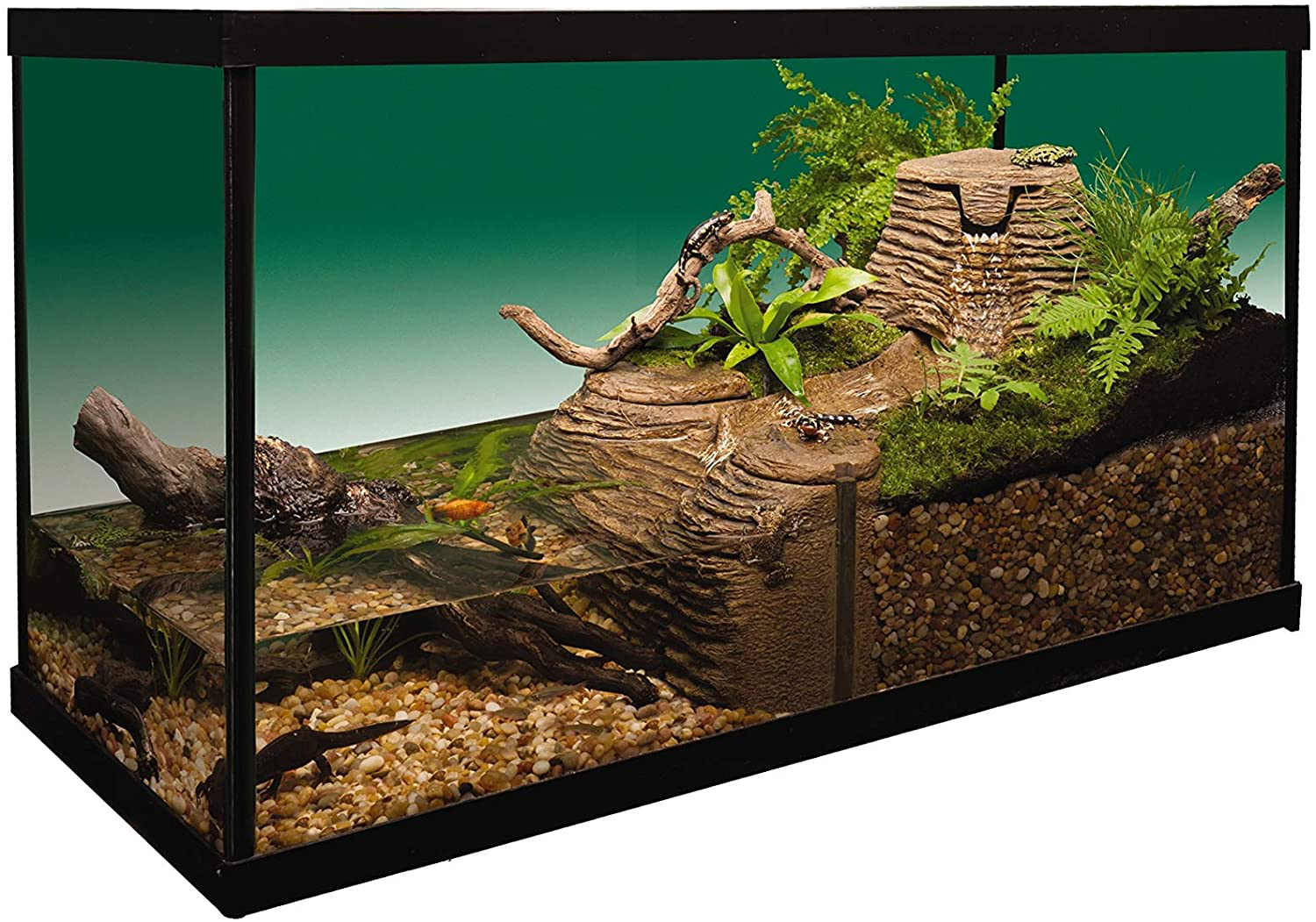 Tetrafauna Viqaquarium, All-In-One Terrarium and Aquarium, Ideal for Aquatic Reptiles and Amphibians