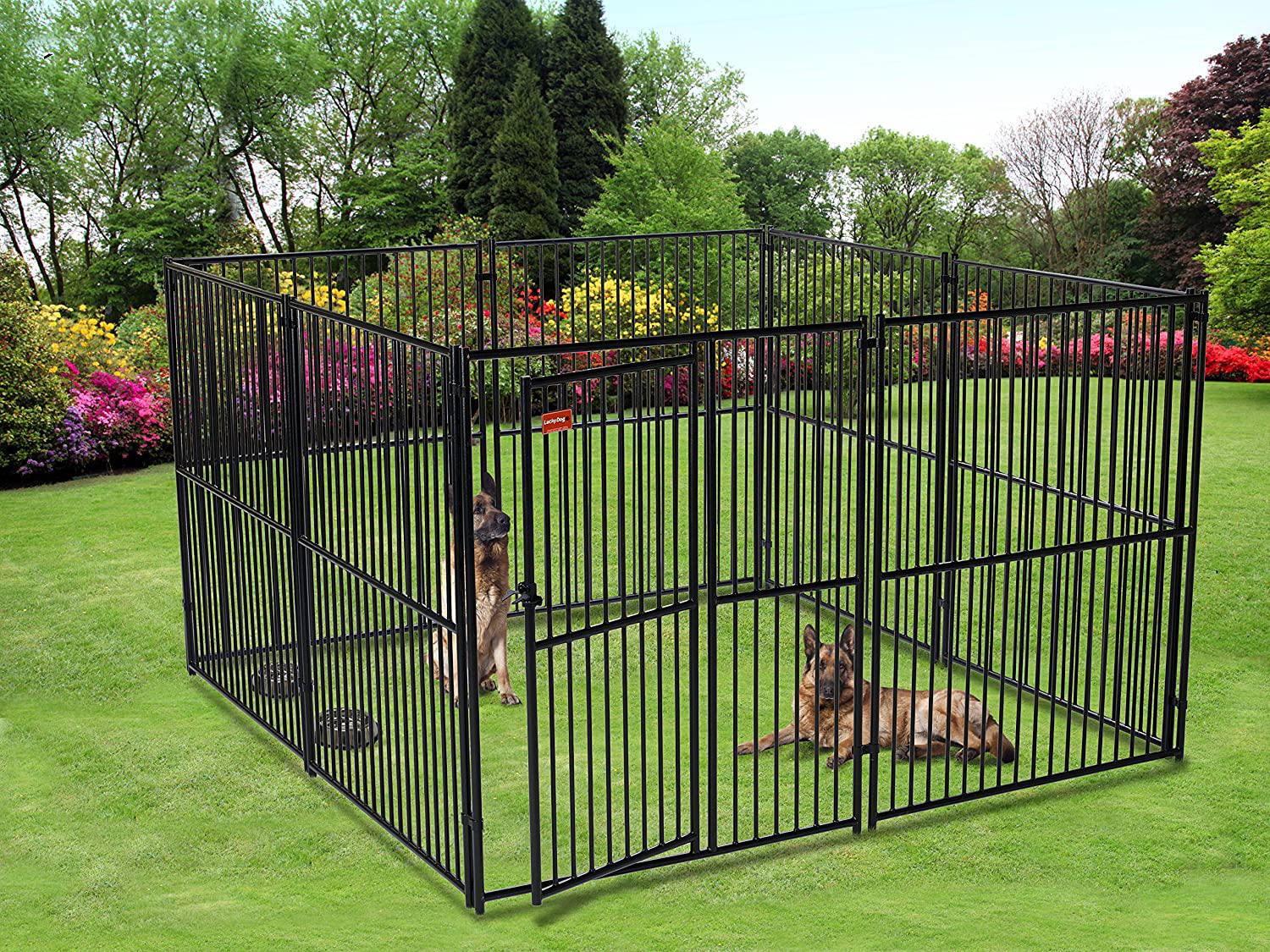 Lucky Dog European Style Modular Kennel, 6 by 10 by 10-Feet