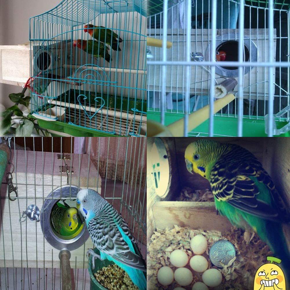 PINVNBY Parakeet Nest Box Bird House Budgie Wood Breeding Box for Lovebirds, Parrotlets Mating Box (M:7.94.74.7 Inch) Animals & Pet Supplies > Pet Supplies > Bird Supplies > Bird Cage Accessories PINVNBY   