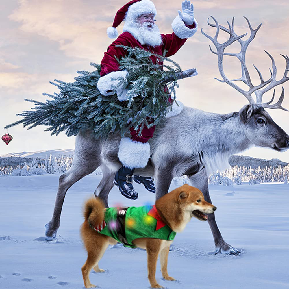 Halloween/Christmas Funny Pet Dog/Cat Santa Claus Carry Christmas Present  Costume Pet Dog Party Jumpsuit Clothes