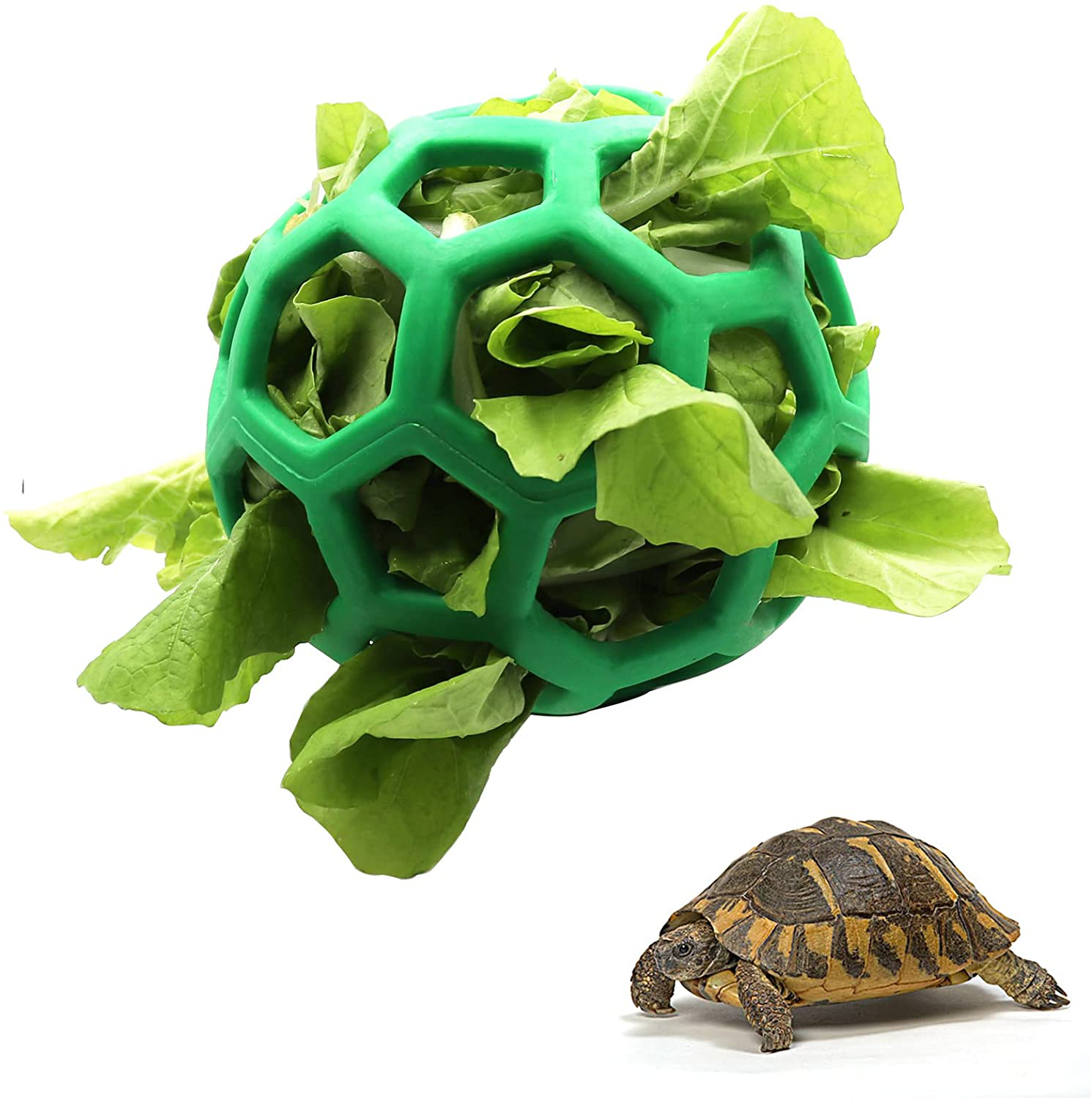 Tortoise Treat Ball Toy Hay Feeder Ball Hanging Feeding Grass Ball Fruit Vegetable Feeder Holder Foraging Toy for Small Animals Pet Tortoise Turtle Animals & Pet Supplies > Pet Supplies > Small Animal Supplies > Small Animal Habitat Accessories Tirifer Green  