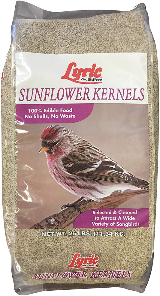 Lyric 2647446 Sunflower Kernels - 25 Lb. Animals & Pet Supplies > Pet Supplies > Bird Supplies > Bird Food Lebanon Seaboard Corporation Sunflower Kernels 25 lb. 