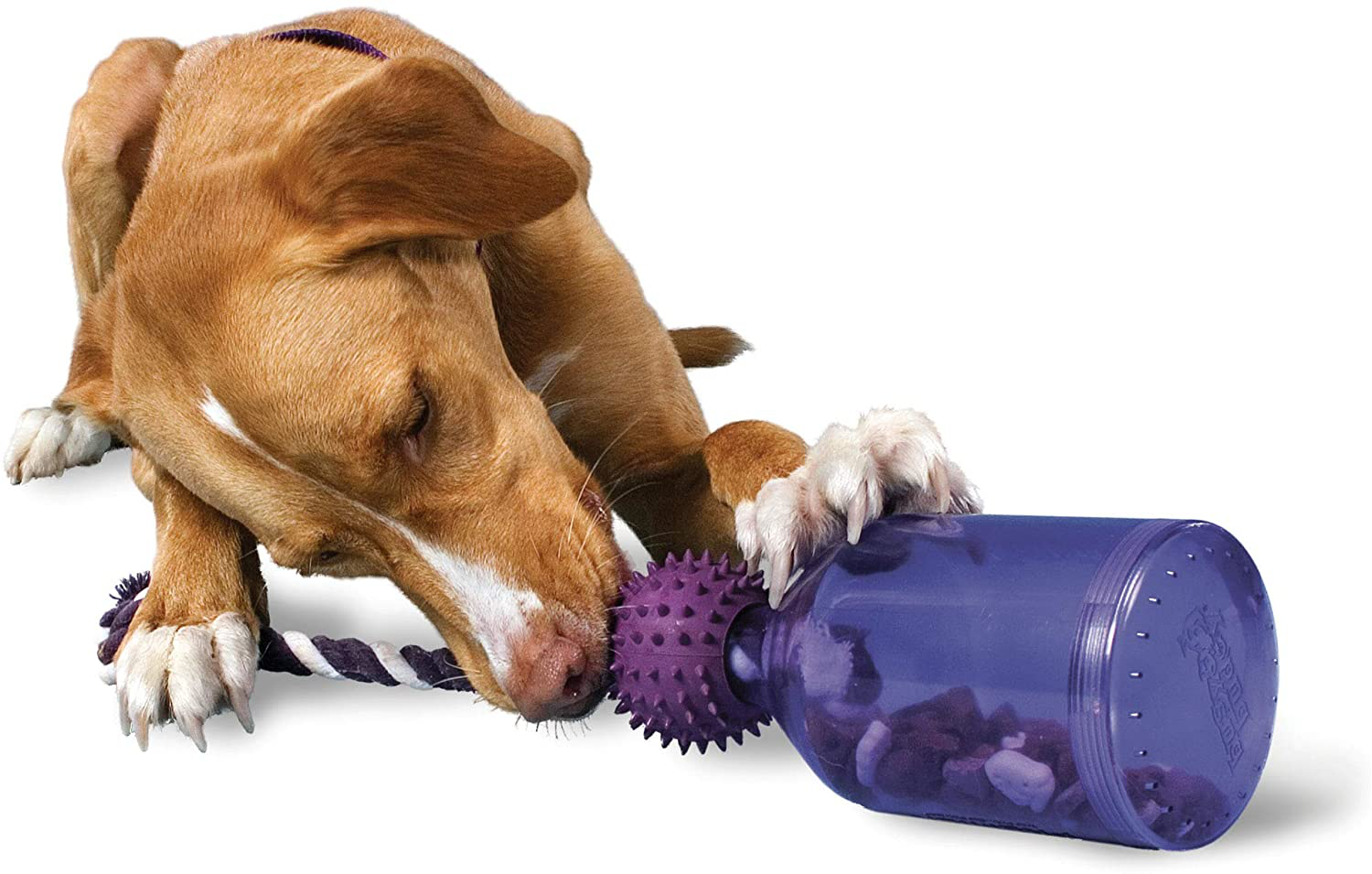 Petsafe Busy Buddy Tug-A-Jug Meal-Dispensing Dog Toy Use with Kibble or Treats Animals & Pet Supplies > Pet Supplies > Dog Supplies > Dog Toys Toys & Behavior   