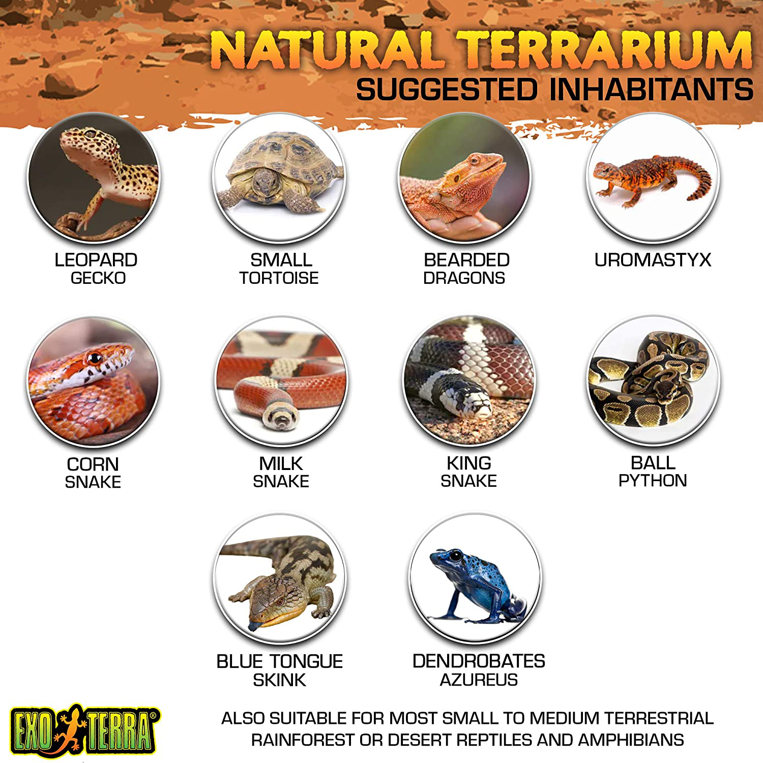 Exo Terra Glass Terrarium Kit, for Reptiles and Amphibians, Nano, 8 X 8 X 8 Inches, PT2599A1 Animals & Pet Supplies > Pet Supplies > Reptile & Amphibian Supplies > Reptile & Amphibian Habitats Exo Terra   