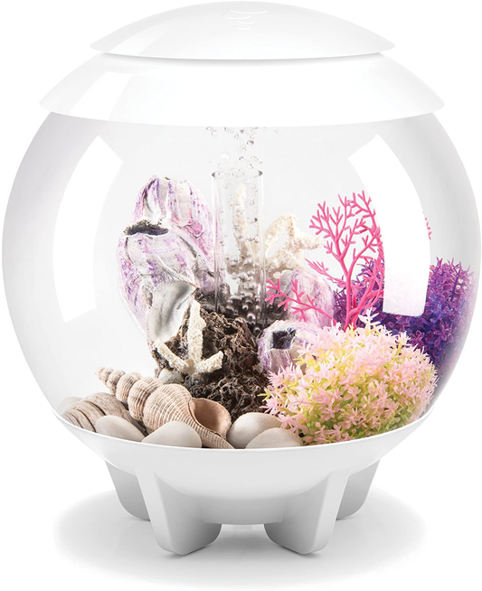 Biorb Halo Aquarium Animals & Pet Supplies > Pet Supplies > Fish Supplies > Aquarium Decor biOrb White MCR Lighting 4 Gallon