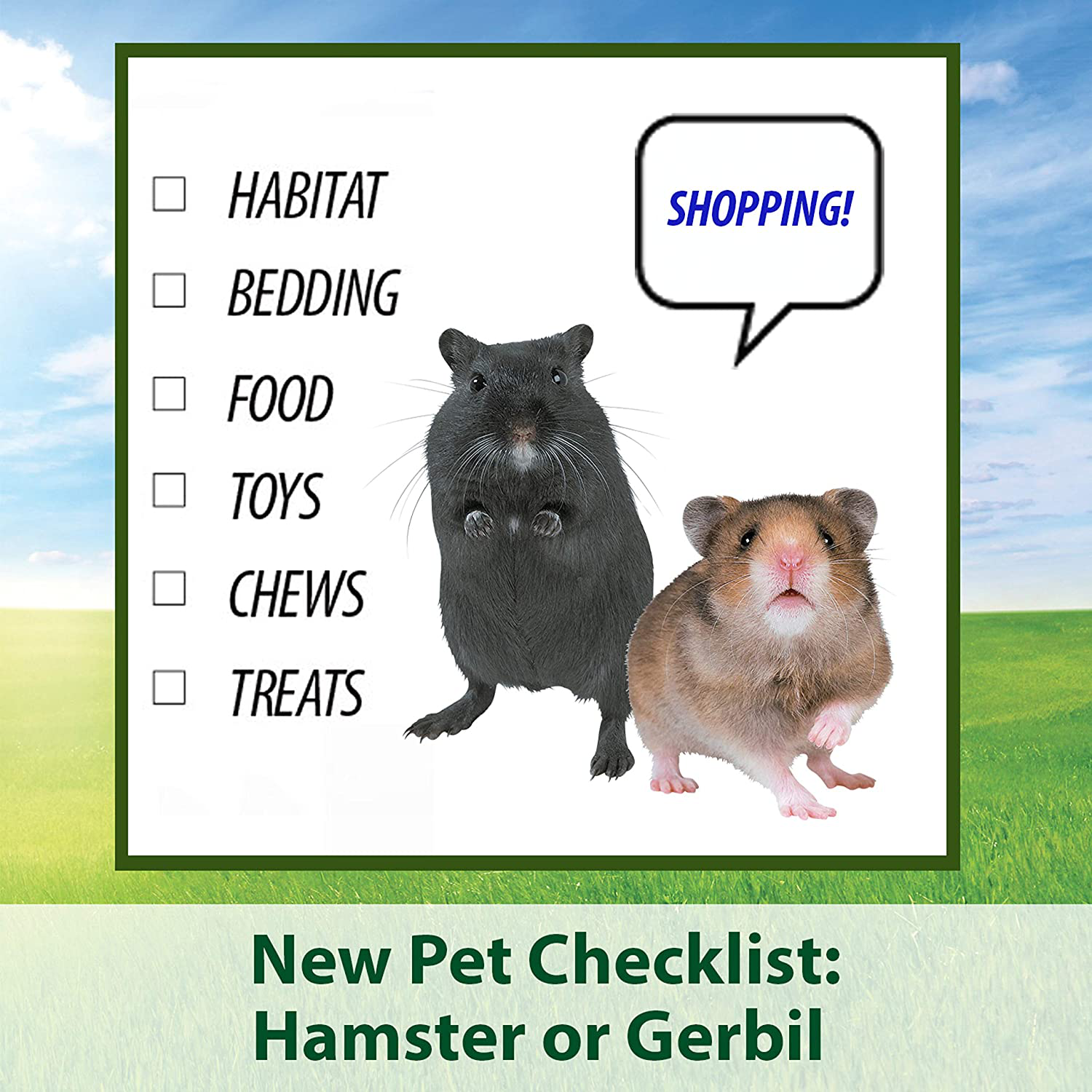 Kaytee Fiesta Hamster and Gerbil Food, 2.5-Lb Bag Animals & Pet Supplies > Pet Supplies > Small Animal Supplies > Small Animal Food Kaytee   