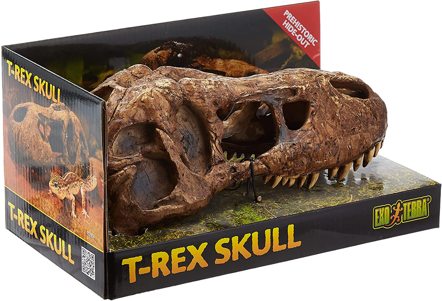 Exo Terra T-Rex Skull Terrarium Decor Animals & Pet Supplies > Pet Supplies > Reptile & Amphibian Supplies > Reptile & Amphibian Habitat Accessories Exo Terra   