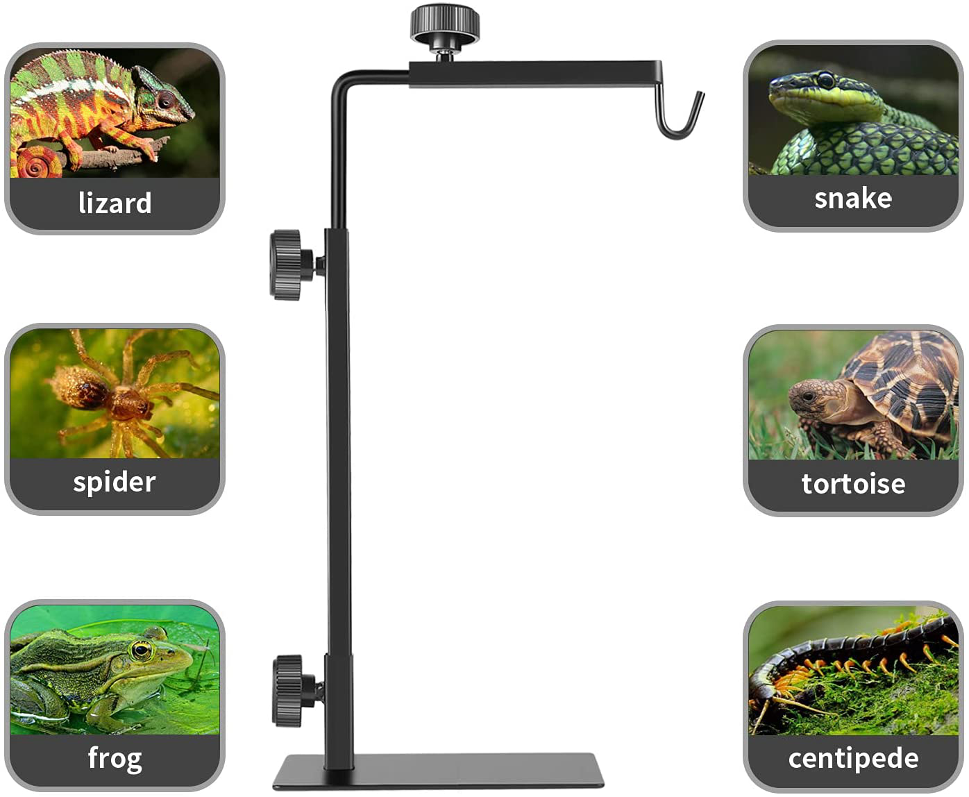 BOURDSERK Reptile Lamp Stand Heat Lamp Metal Bracket Adjustable Floor Holder for Reptile Glass Terrarium Heating Light, Suitable for Snake Turtle Frog Bearded Dragon Chameleon Habitat Tank Accessories Animals & Pet Supplies > Pet Supplies > Reptile & Amphibian Supplies > Reptile & Amphibian Habitat Accessories BOURDSERK   